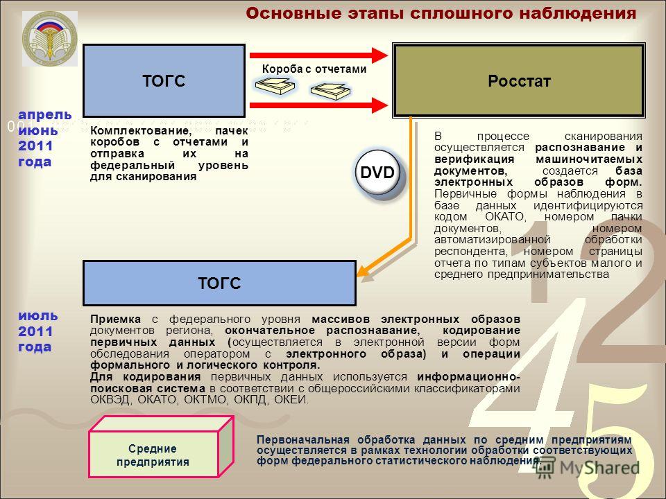 Росстат окато