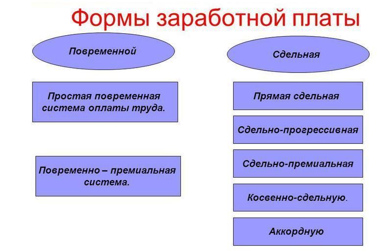 Виды птиц: какие бывают