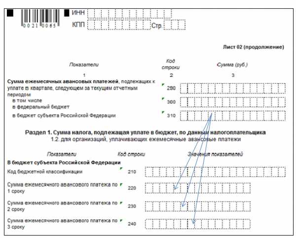 Образец заполнения 1110055